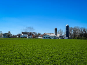 Farmland, Grass, Countryside