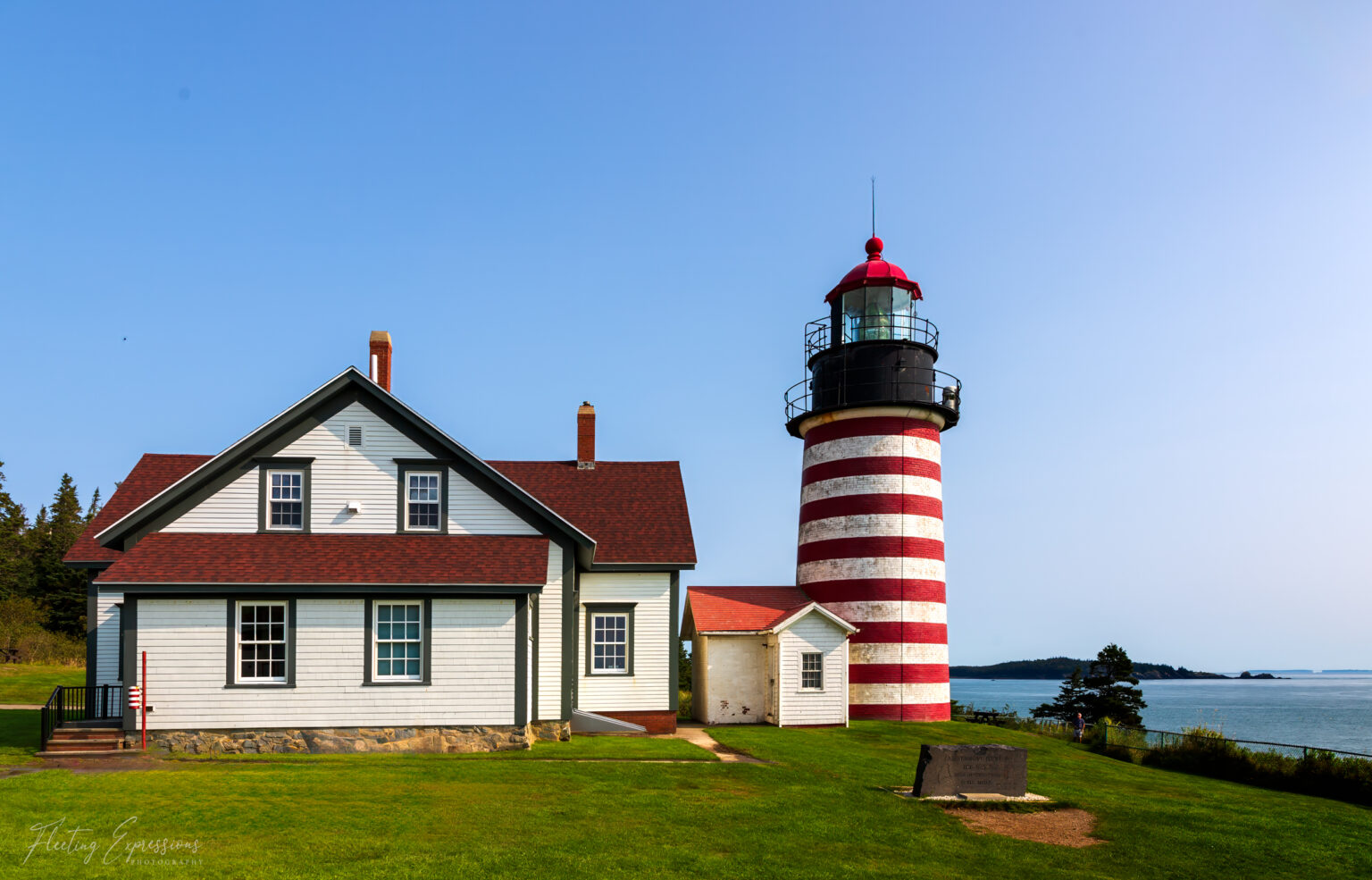 Exploring Quoddy Head State Park: Where Adventure Meets Serenity ...