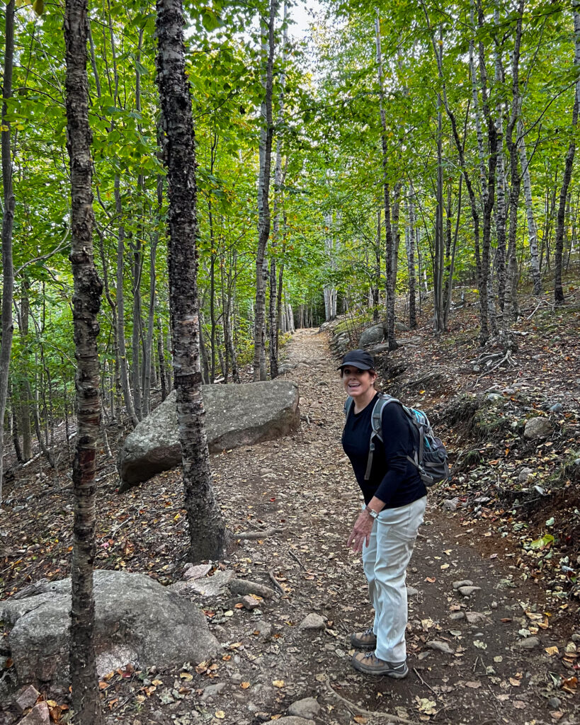 Person, Hiking, Trees, Trail