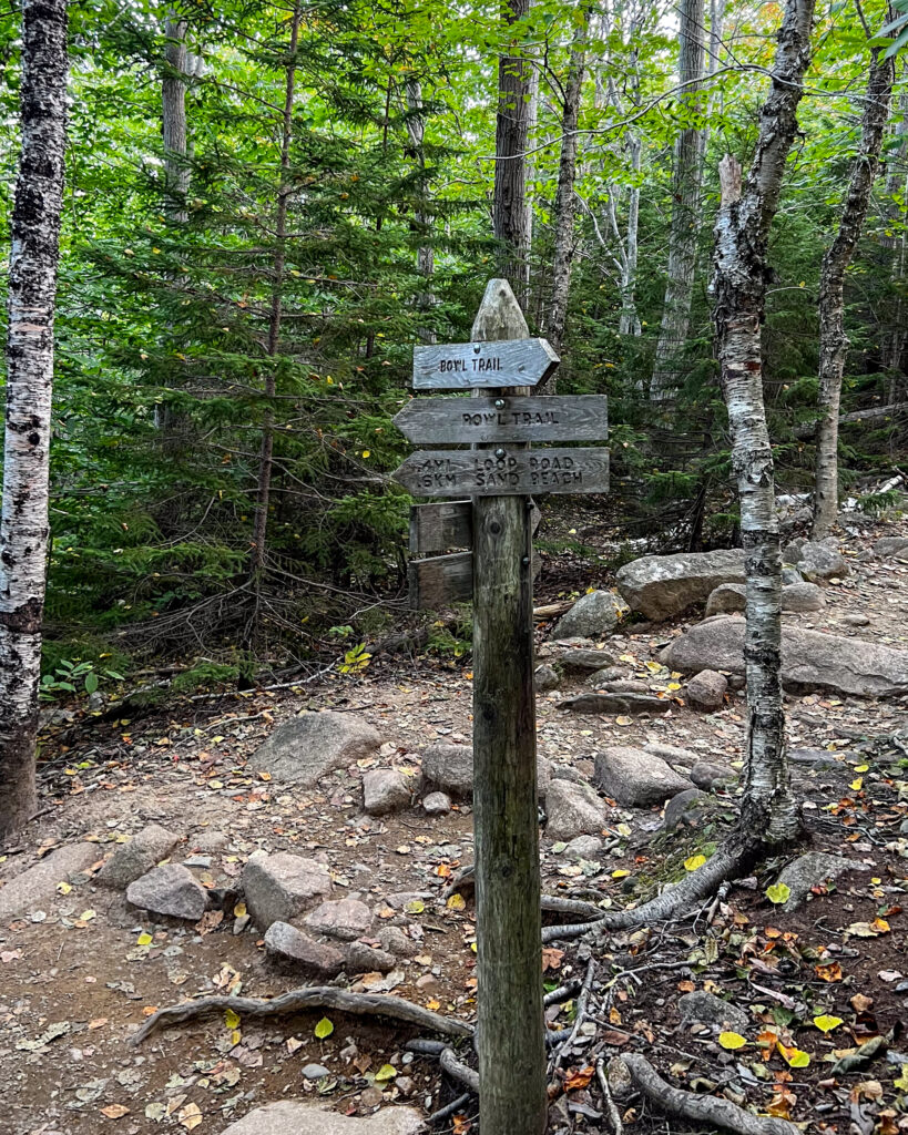 Trail marker, Sign, Trees, Rocks