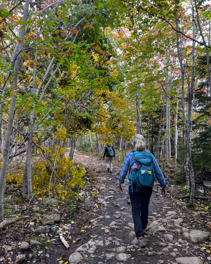 Hiking, Person, Trail, Trees