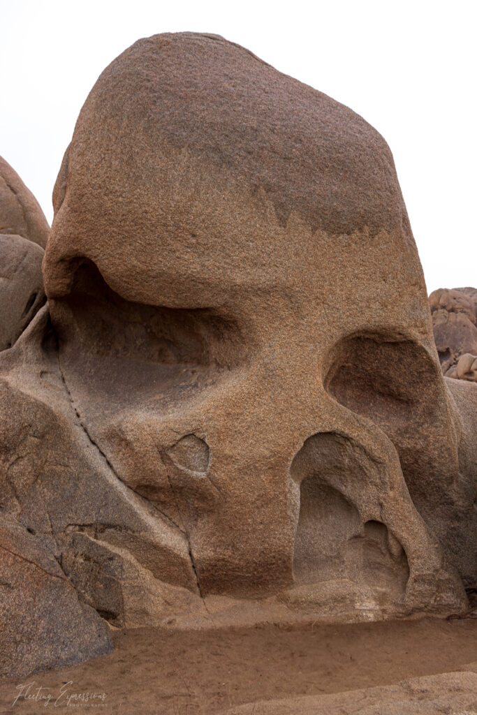 rock formation, skull rock