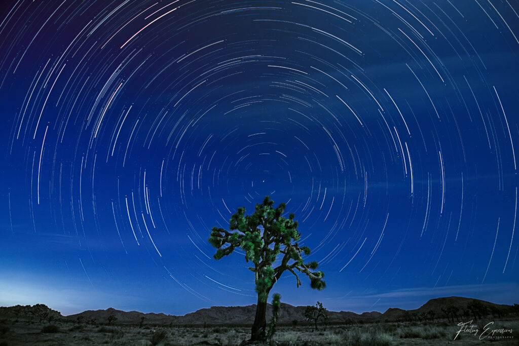 night sky, star trails, joshua tree