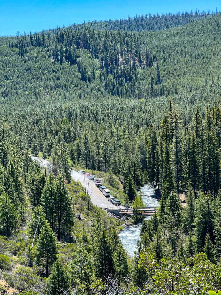 Trees, Cars, Road