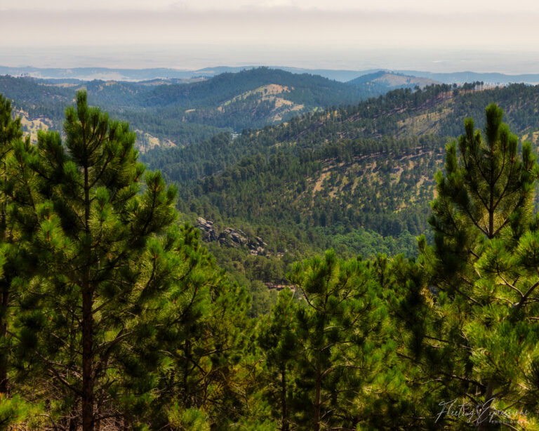 Black Hills of South Dakota