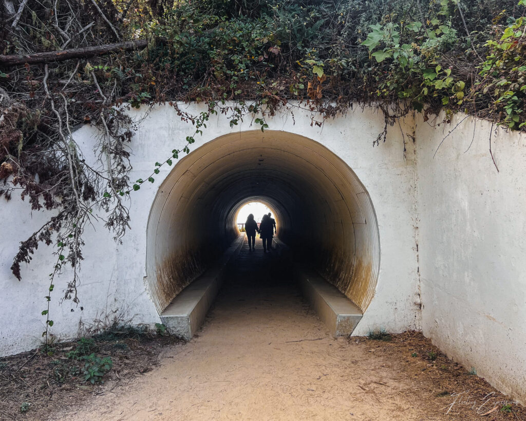 Tunnel along hiking trail at McWay Falls in California