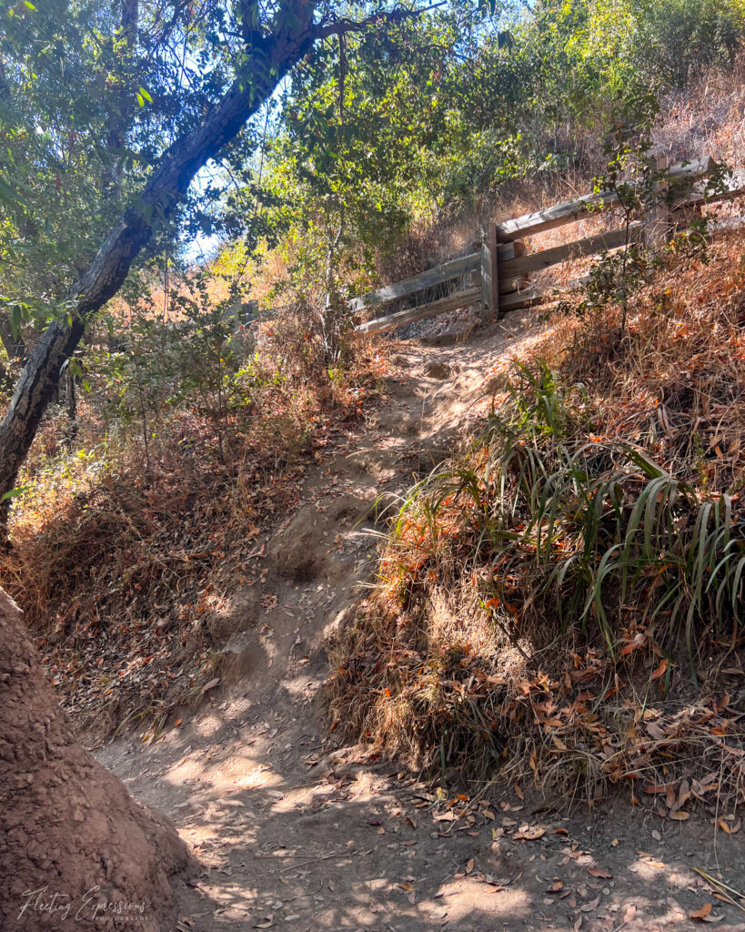 worn path on trail to take shortcut