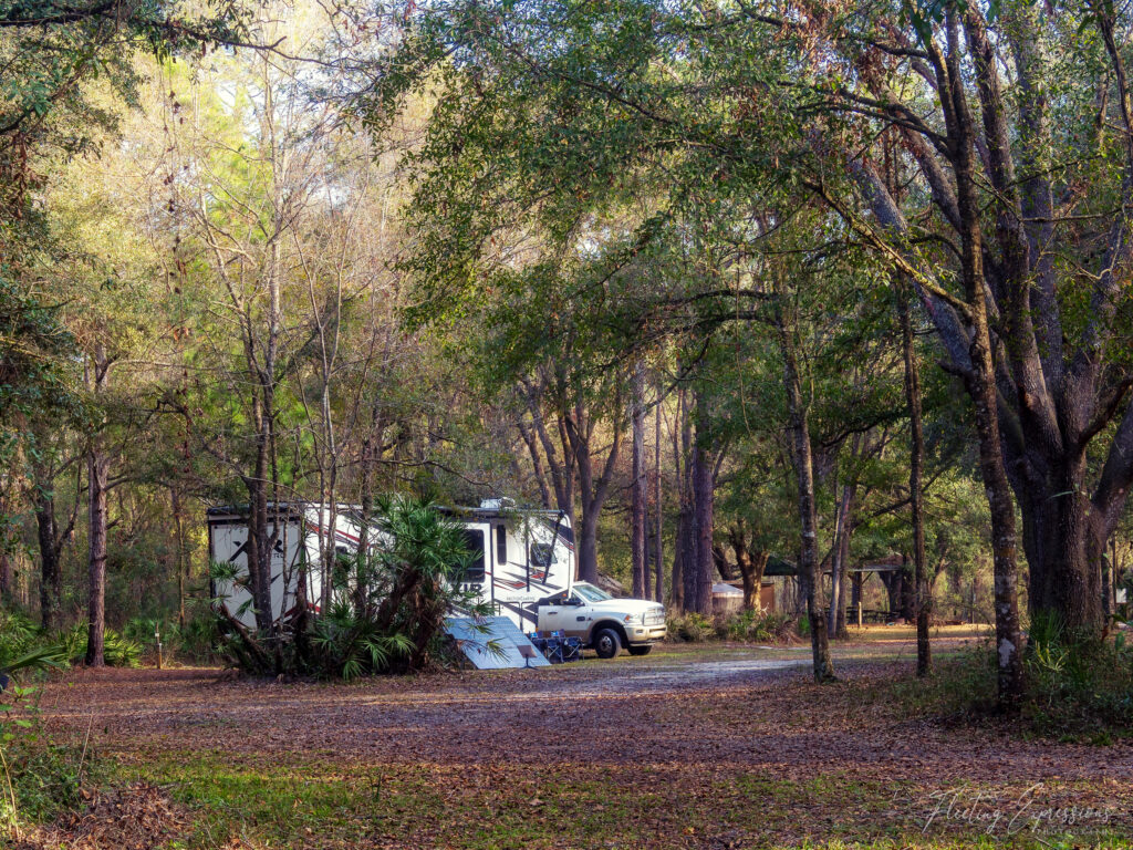 camping trailer in the forest trees